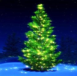 Free Christmas Music Android App